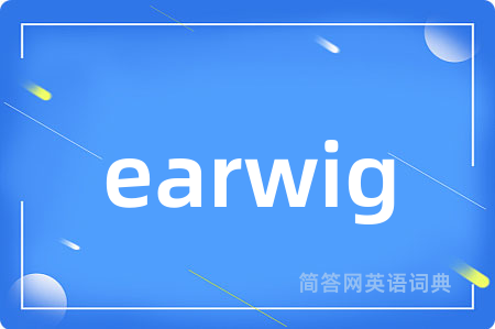 earwig