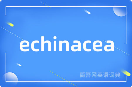 echinacea是什么意思,echinacea的中文翻译 echinacea