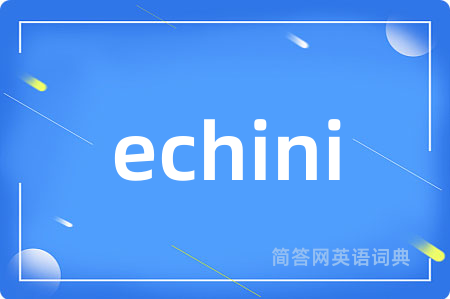 echini