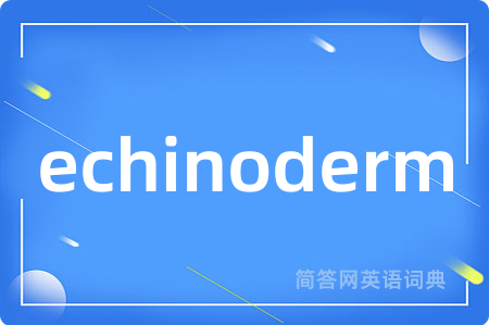 echinoderm