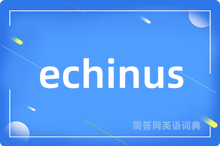 echinus