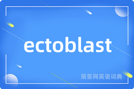 ectoblast