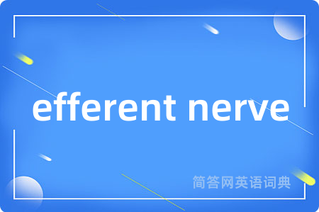 efferent nerve