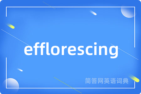 efflorescing
