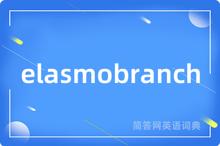 elasmobranch是什么意思,elasmobranch的中文翻译 elasmobranch