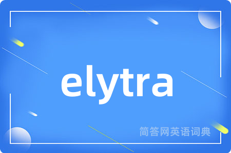 elytra