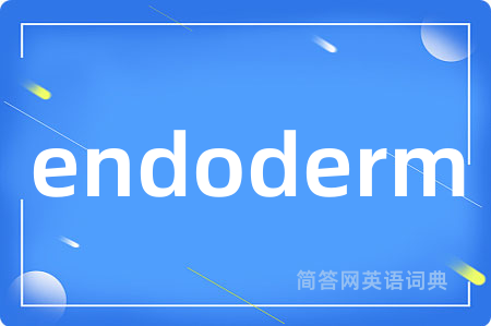 endoderm