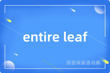 entire leaf