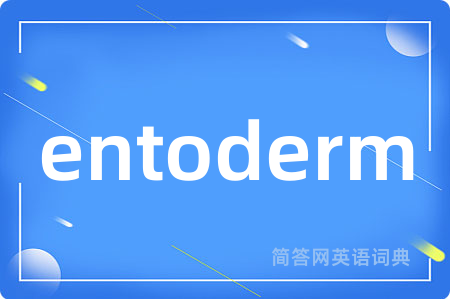 entoderm