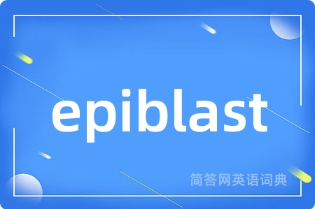 epiblast