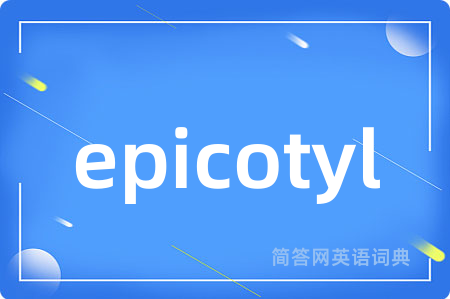 epicotyl