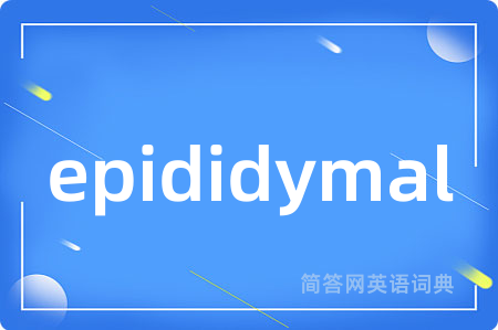 epididymal是什么意思,epididymal的中文翻译 epididymal