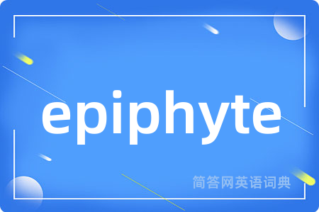 epiphyte是什么意思,epiphyte的中文翻译 epiphyte