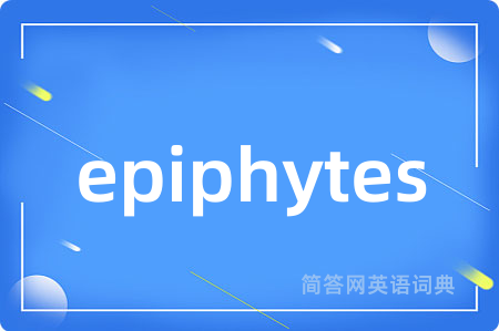 epiphytes