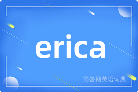 erica是什么意思,erica的中文翻译 erica