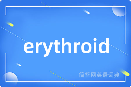 erythroid是什么意思,erythroid的中文翻译 erythroid