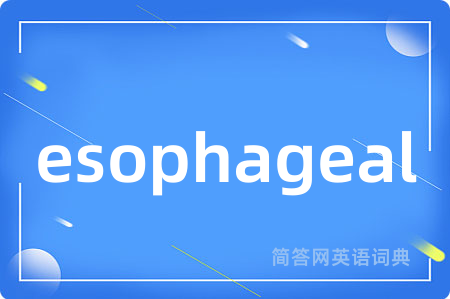 esophageal是什么意思,esophageal的中文翻译 esophageal