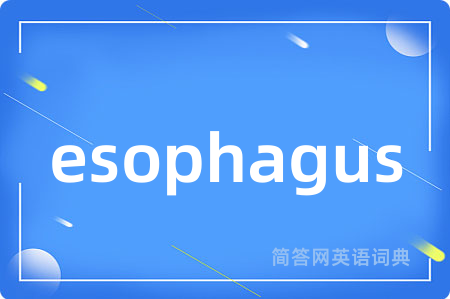 esophagus