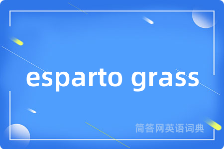 esparto grass是什么意思,esparto grass的中文翻译 esparto grass