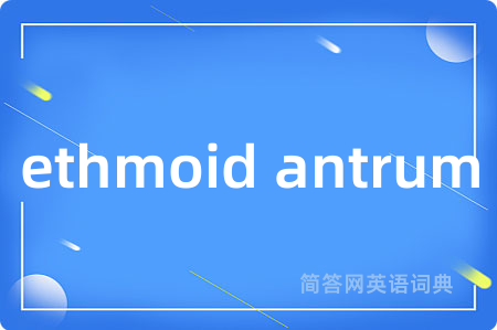 ethmoid antrum