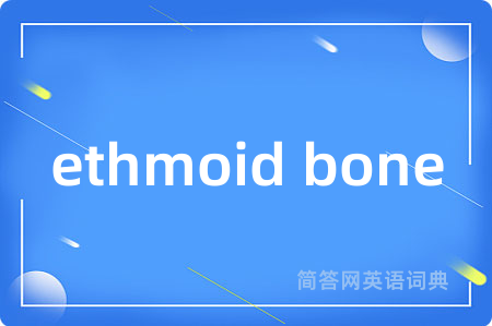 ethmoid bone