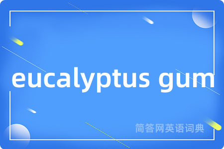 eucalyptus gum