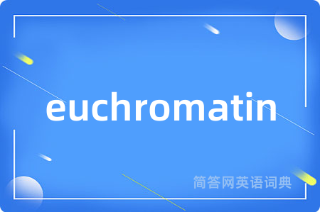 euchromatin