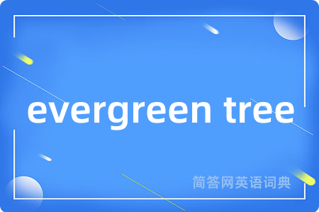 evergreen tree