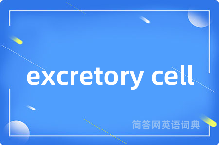 excretory cell