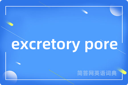 excretory pore