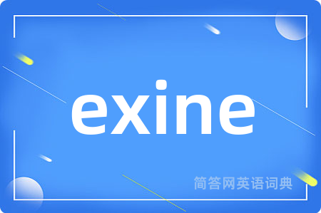 exine