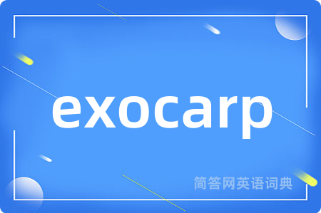 exocarp