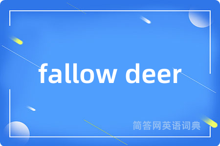 fallow deer