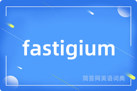 fastigium