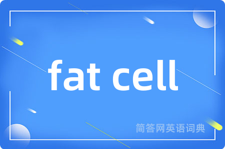 fat cell