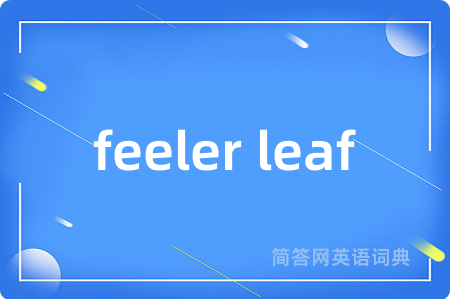 feeler leaf