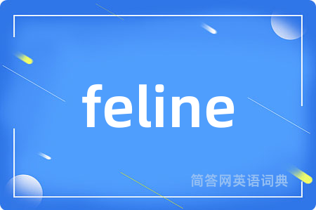 feline