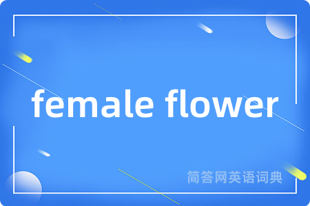 female flower是什么意思,female flower的中文翻译 female flower