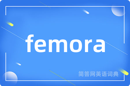 femora是什么意思,femora的中文翻译 femora