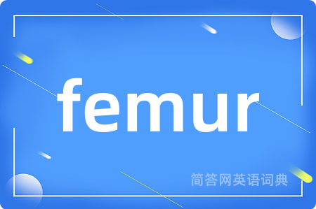 femur