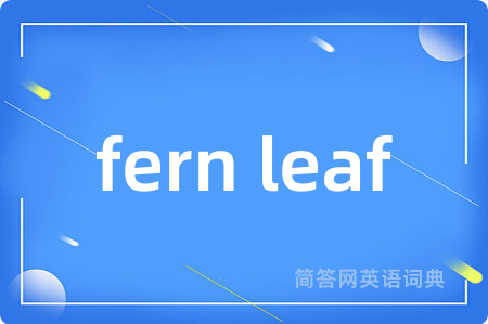fern leaf