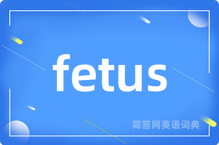fetus