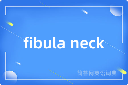 fibula neck