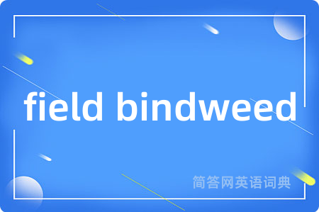 field bindweed