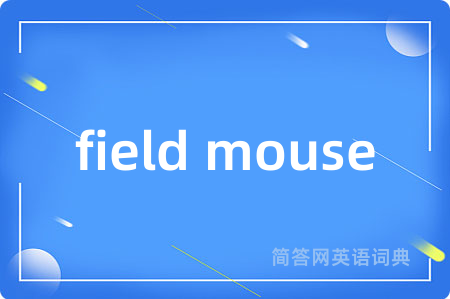 field mouse