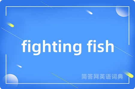 fighting fish