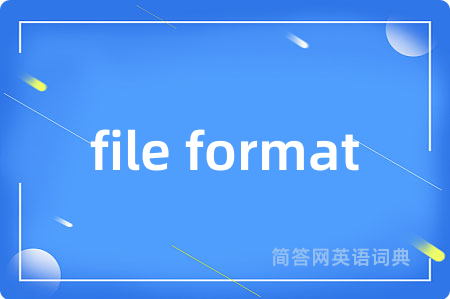 file format是什么意思,file format的中文翻译 file format