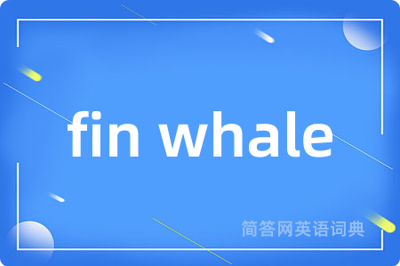 fin whale