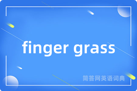 finger grass