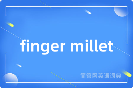 finger millet